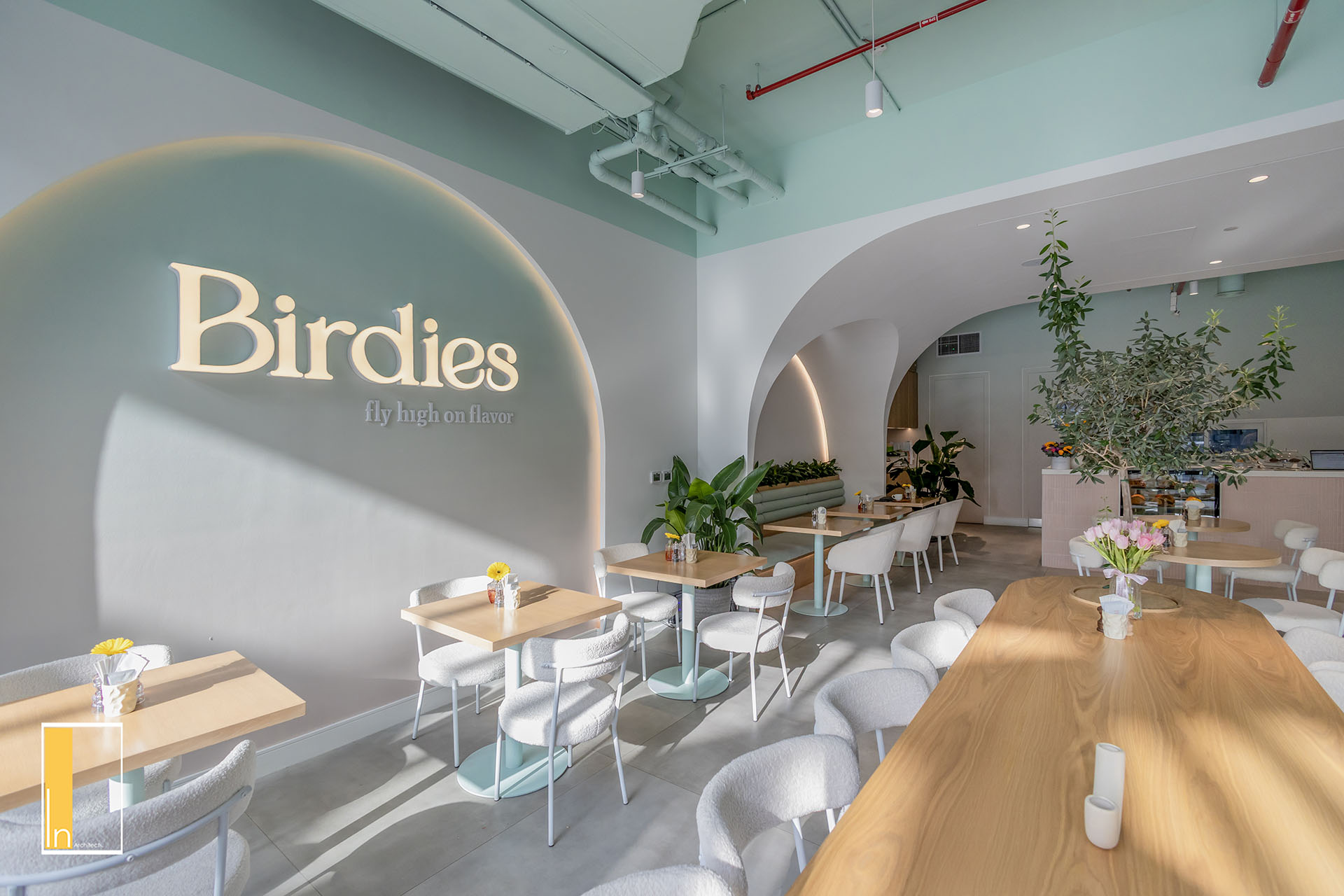 Birdies