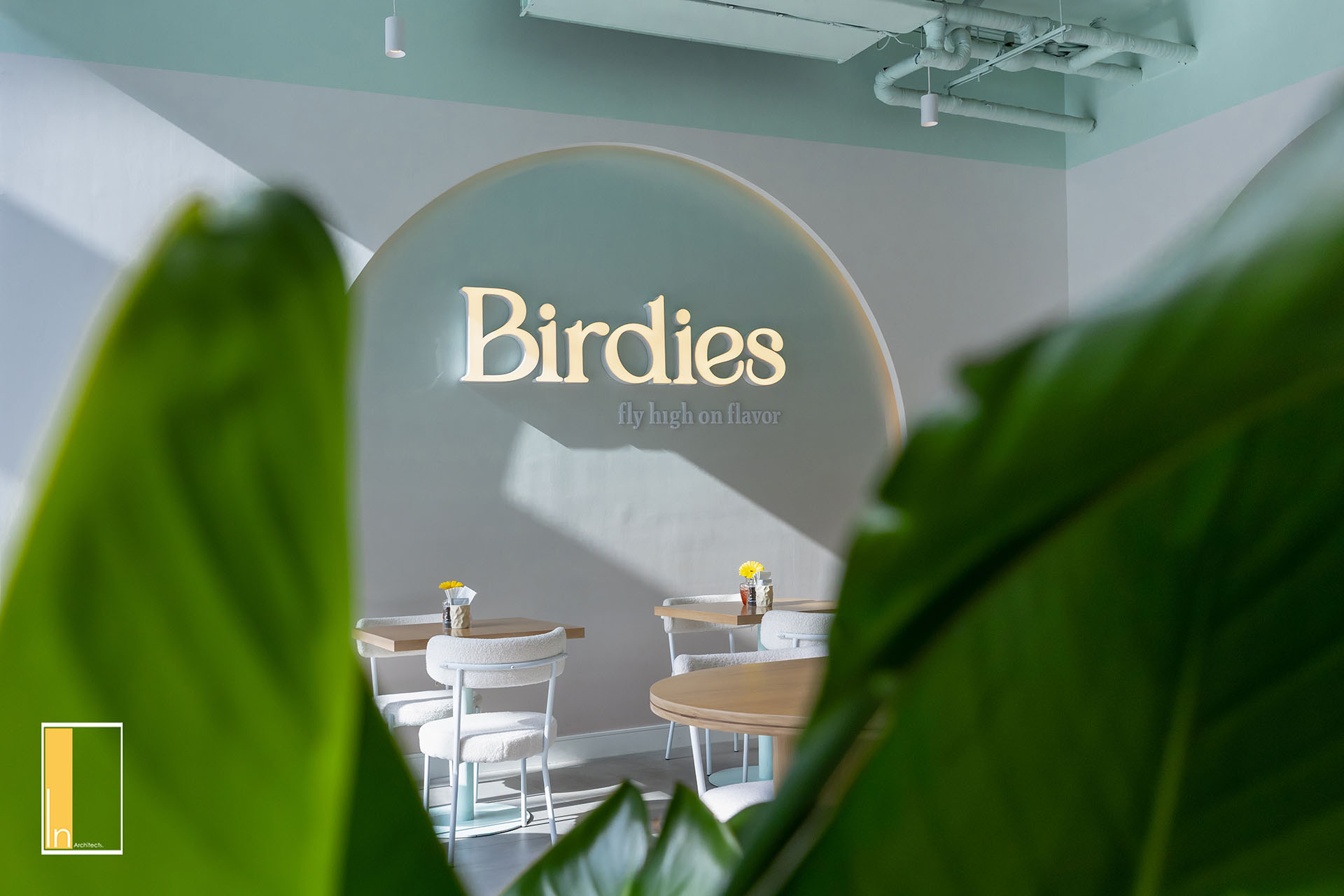 Birdies